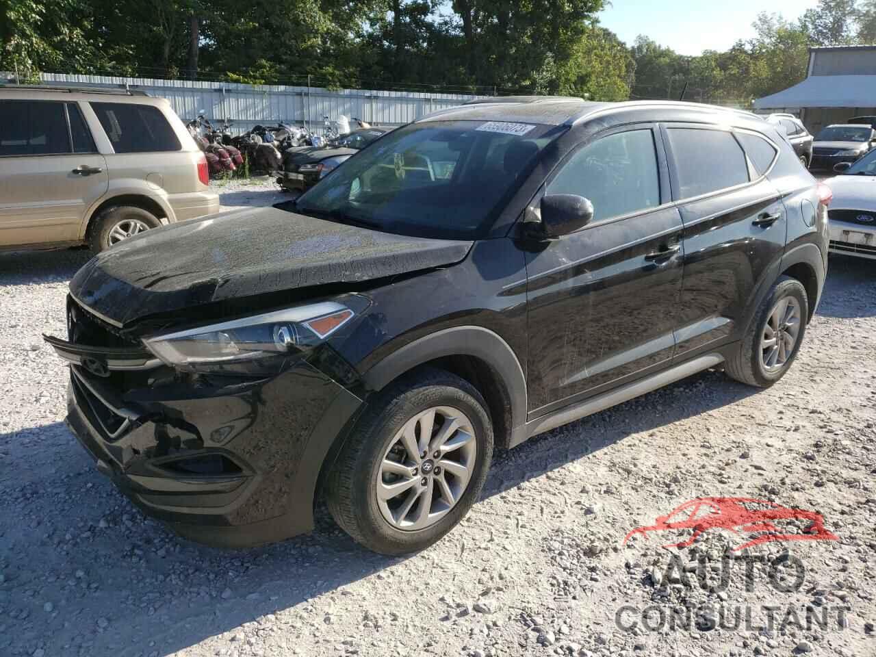 HYUNDAI TUCSON 2017 - KM8J3CA44HU315690