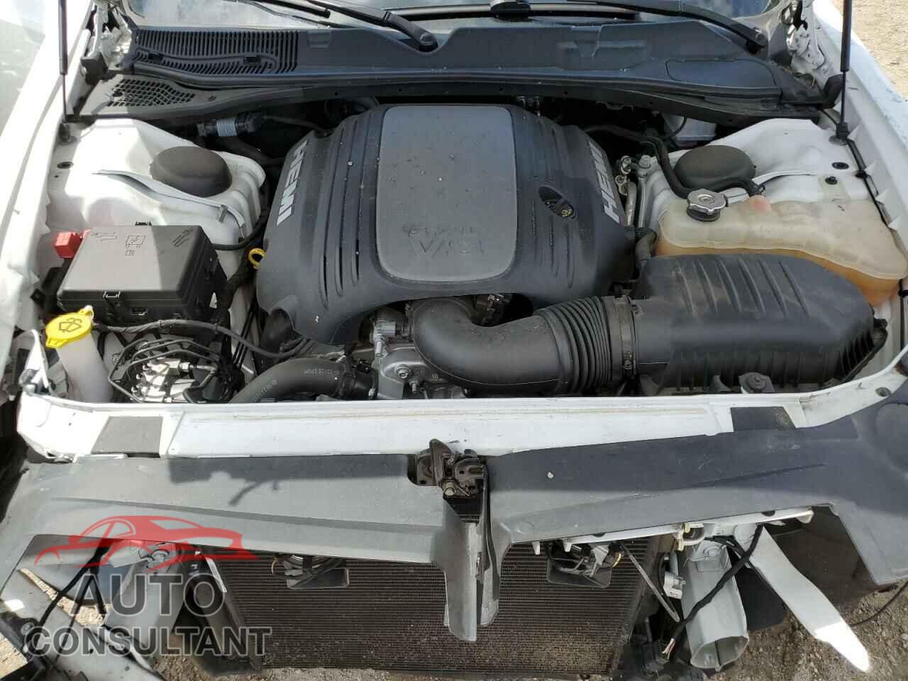 DODGE CHALLENGER 2019 - 2C3CDZBT5KH531825