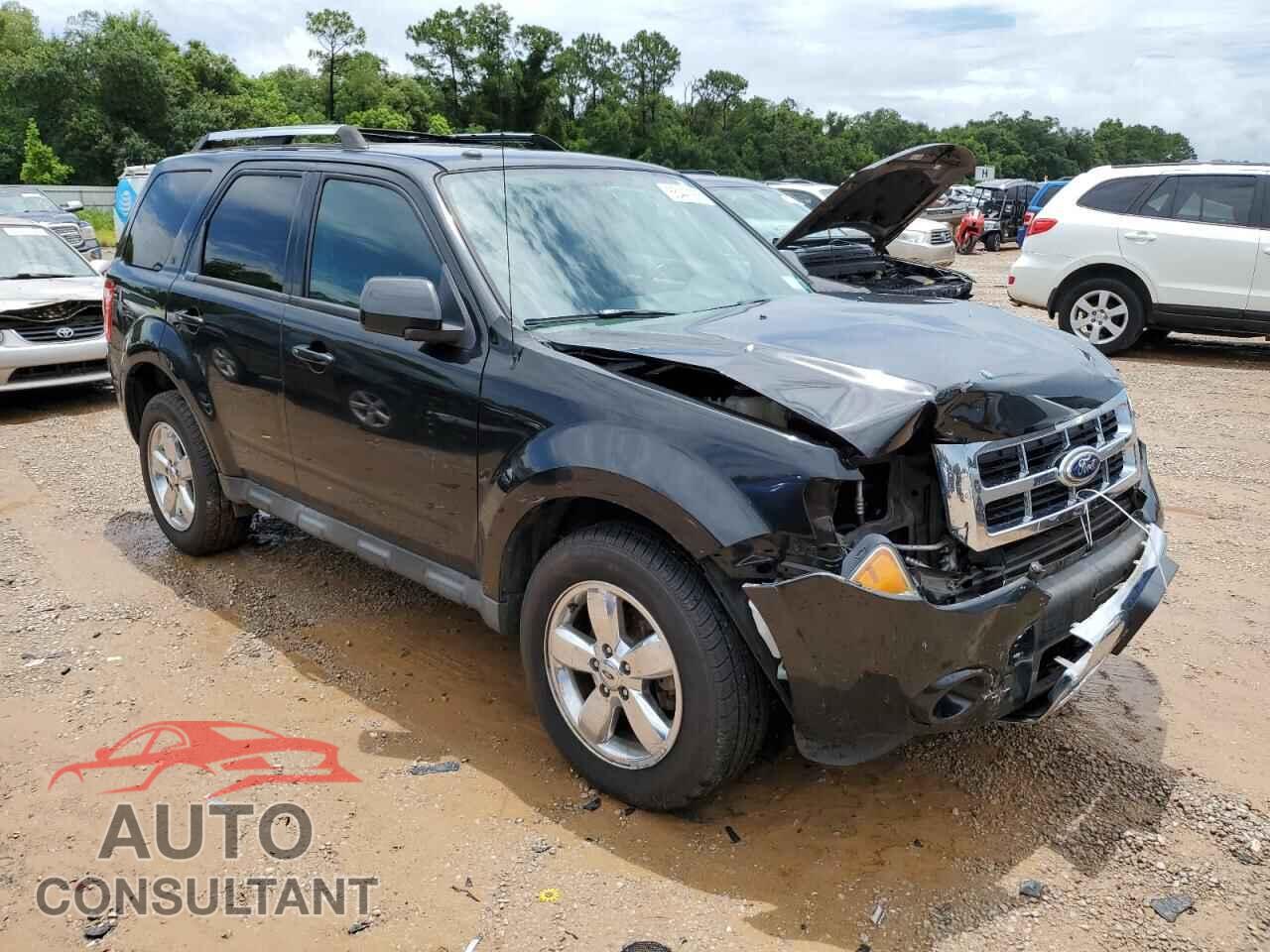 FORD ESCAPE 2011 - 1FMCU9EGXBKB50549