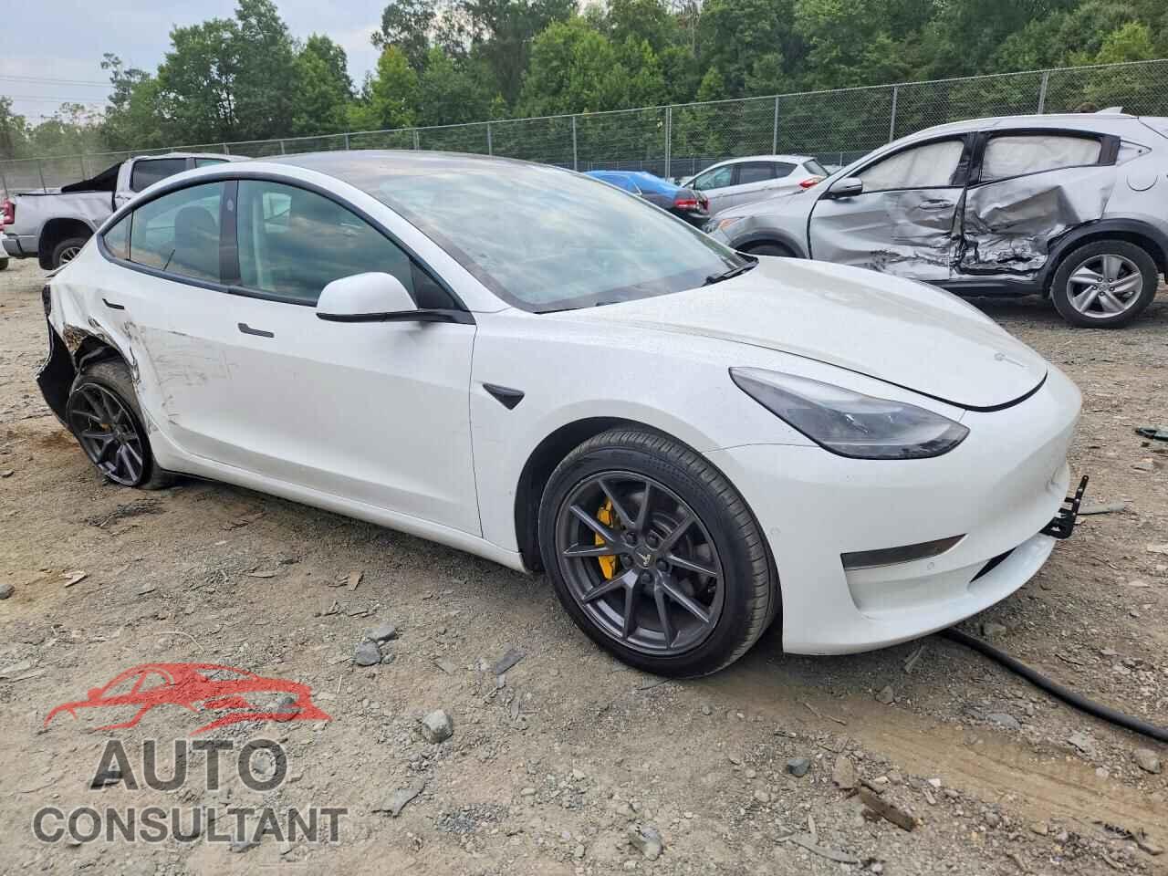TESLA MODEL 3 2021 - 5YJ3E1EA9MF992488