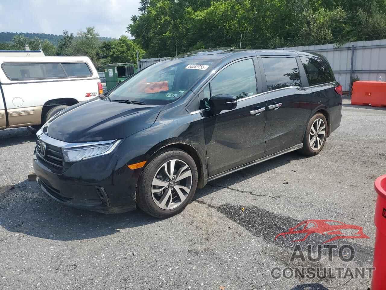 HONDA ODYSSEY 2024 - 5FNRL6H81RB013768