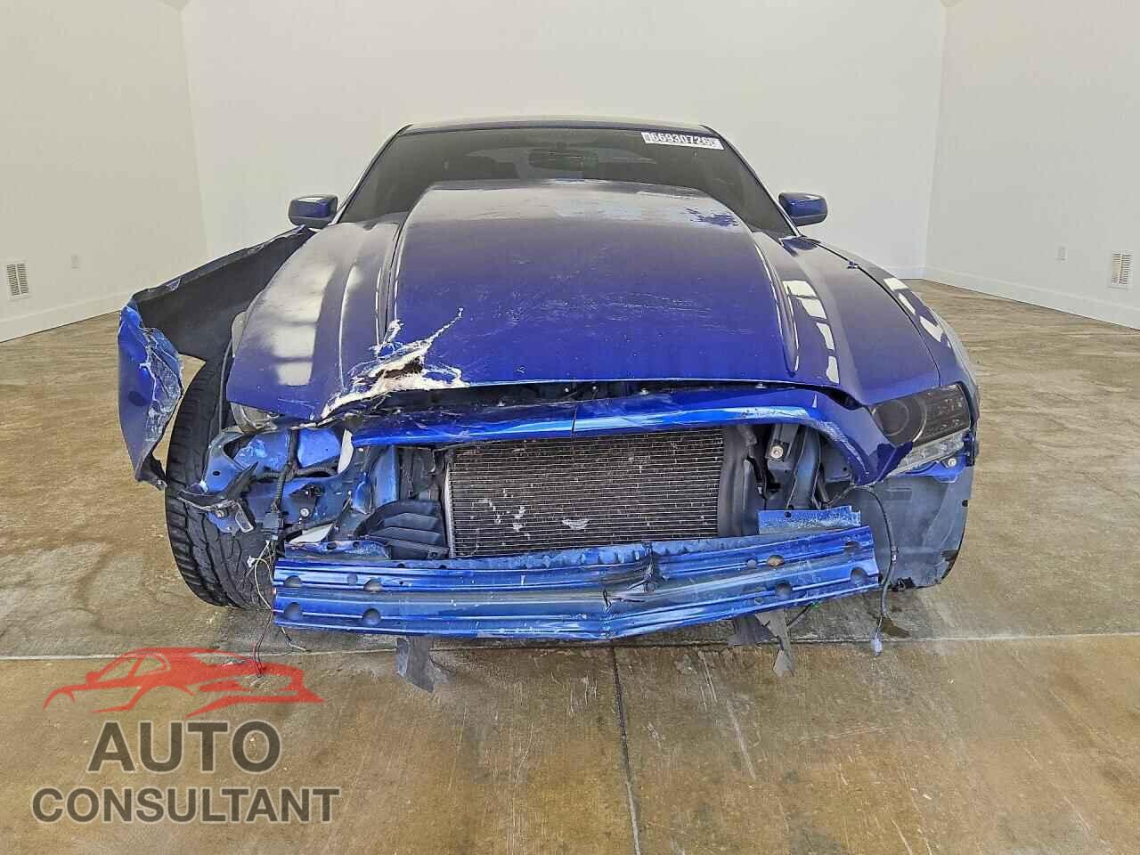FORD MUSTANG 2013 - 1ZVBP8CF9D5268781
