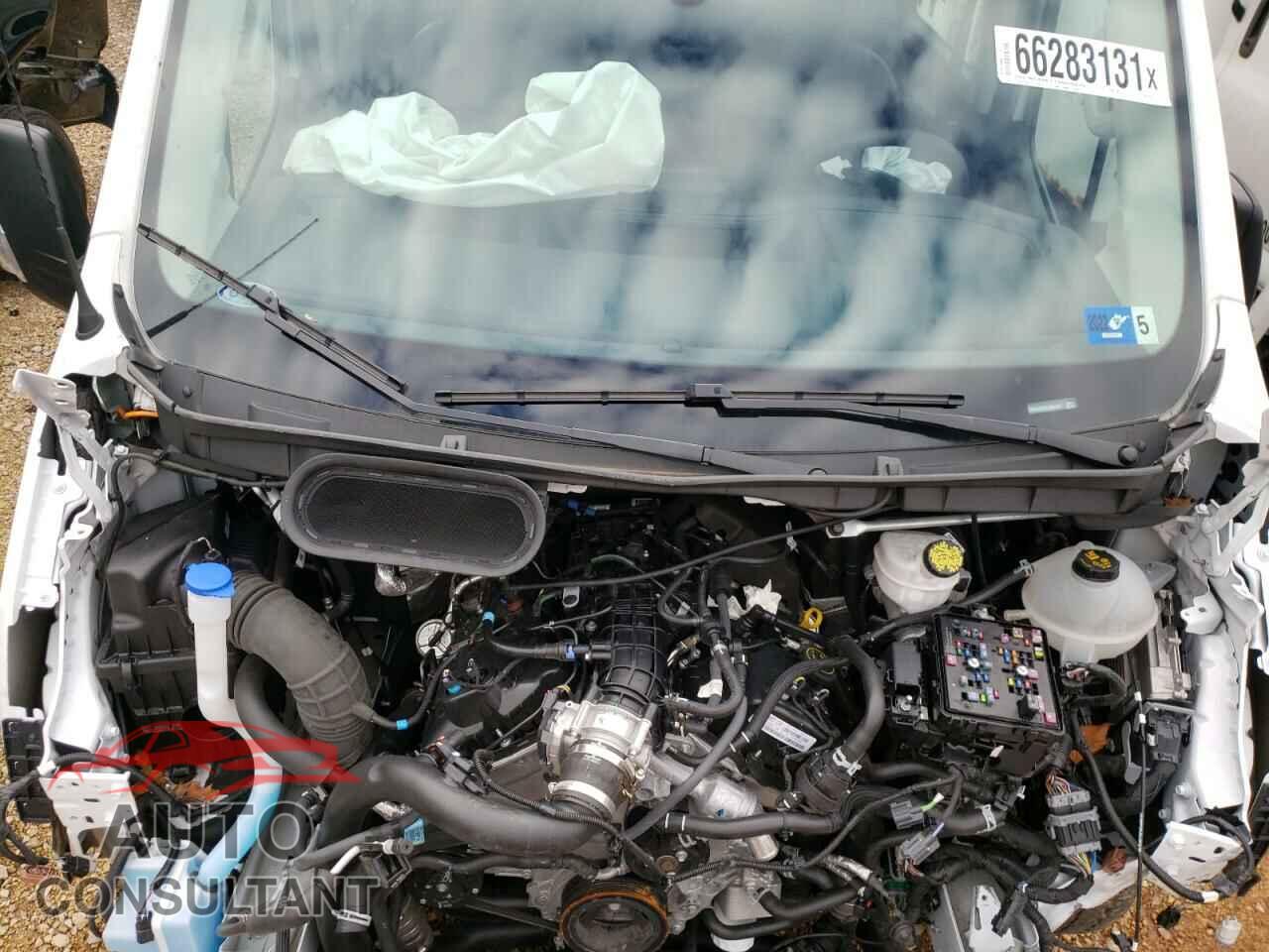 FORD TRANSIT CO 2020 - 1FBAX2XG4LKB45747