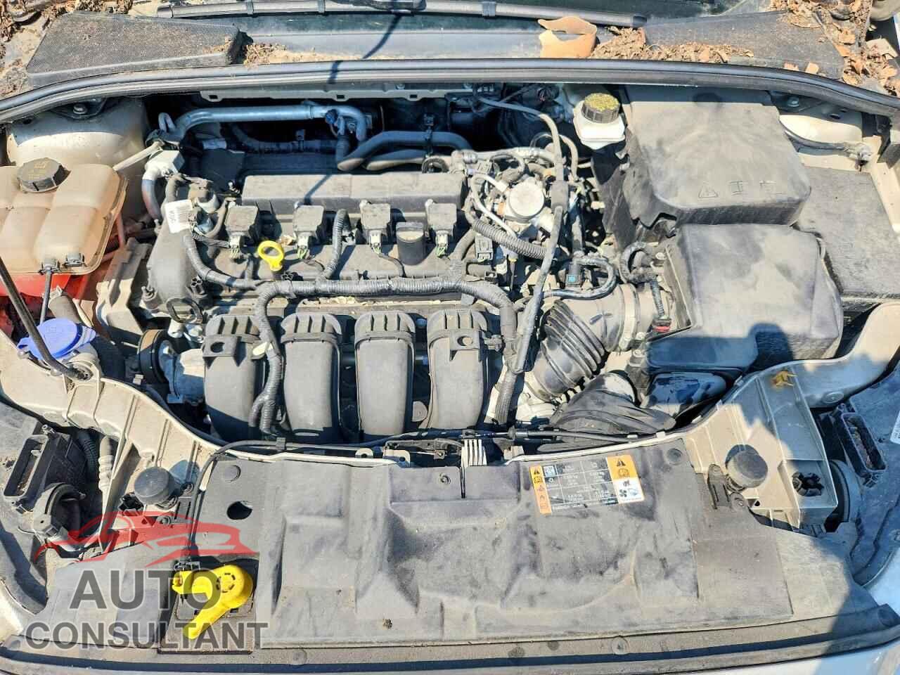 FORD FOCUS 2017 - 1FADP3F2XHL331952
