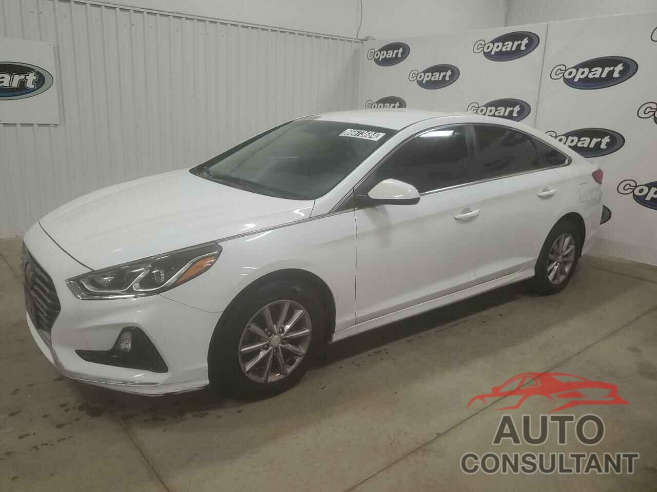HYUNDAI SONATA 2019 - 5NPE24AFXKH789841