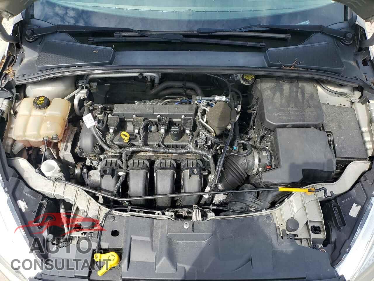 FORD FOCUS 2016 - 1FADP3F25GL239985