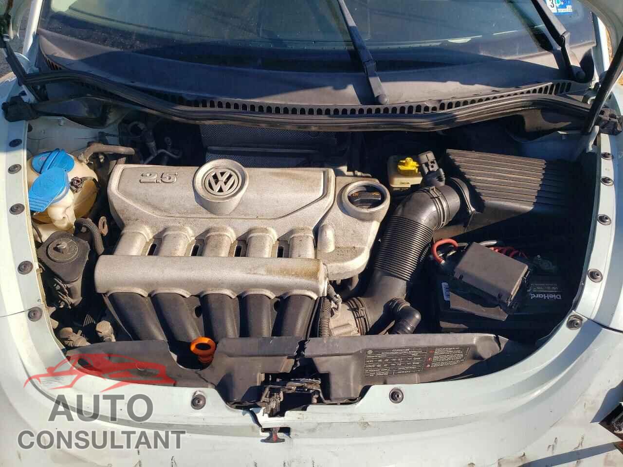 VOLKSWAGEN BEETLE 2010 - 3VWPG3AGXAM035132