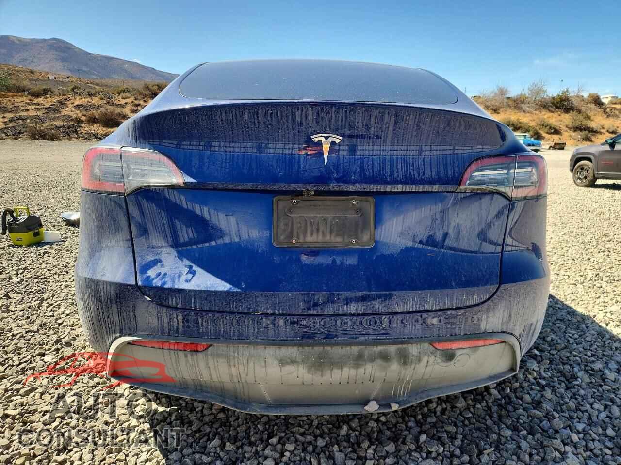 TESLA MODEL Y 2025 - 7SAYGDEDXSF232565
