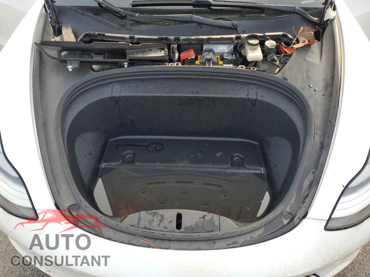 TESLA MODEL 3 2019 - 5YJ3E1EB5KF477753
