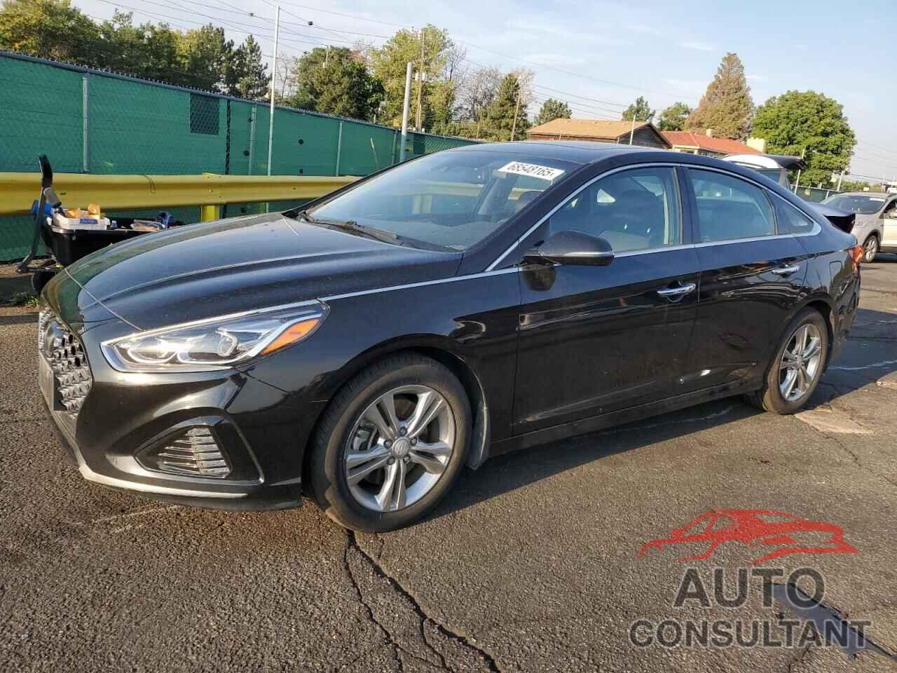 HYUNDAI SONATA 2019 - 5NPE34AF6KH737796