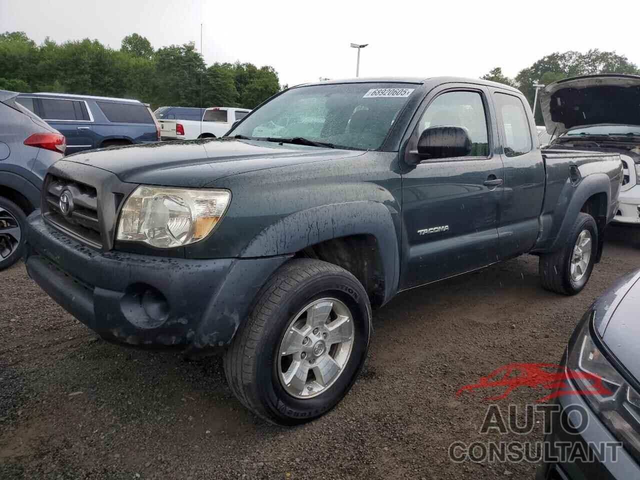 TOYOTA TACOMA 2009 - 5TEUX42N69Z629921