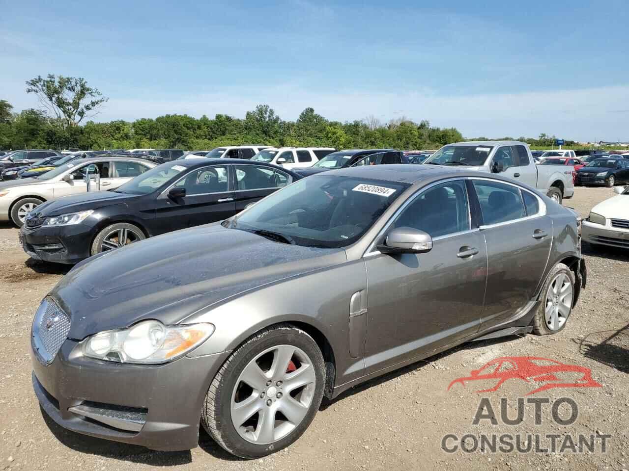 JAGUAR XF 2009 - SAJWA05B39HR10047