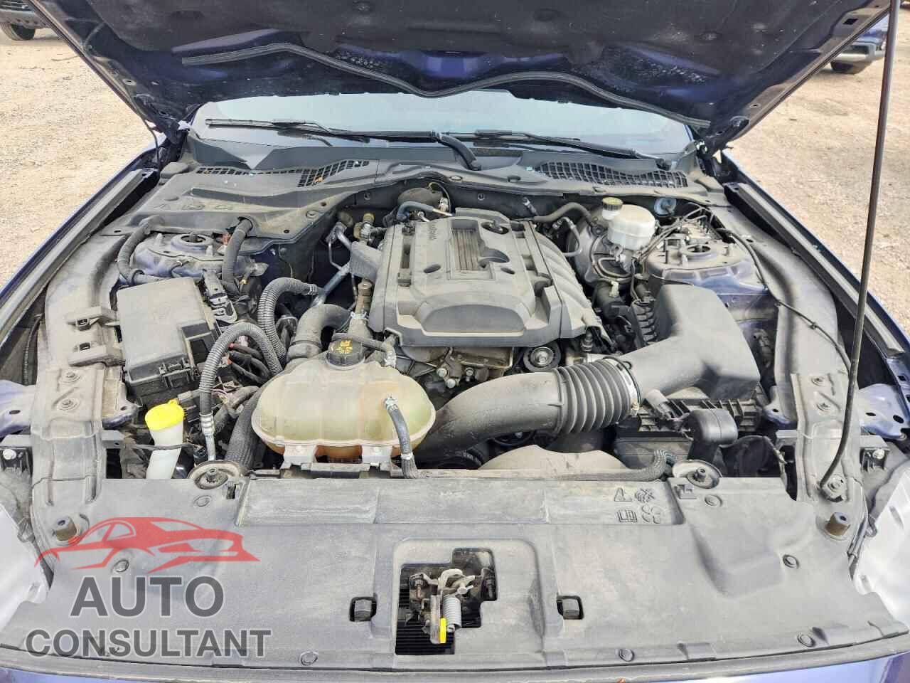 FORD MUSTANG 2019 - 1FA6P8TH5K5111824