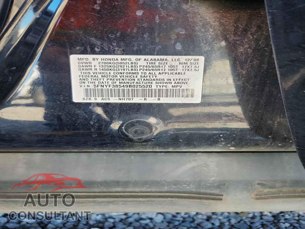 HONDA PILOT 2009 - 5FNYF38549B025520