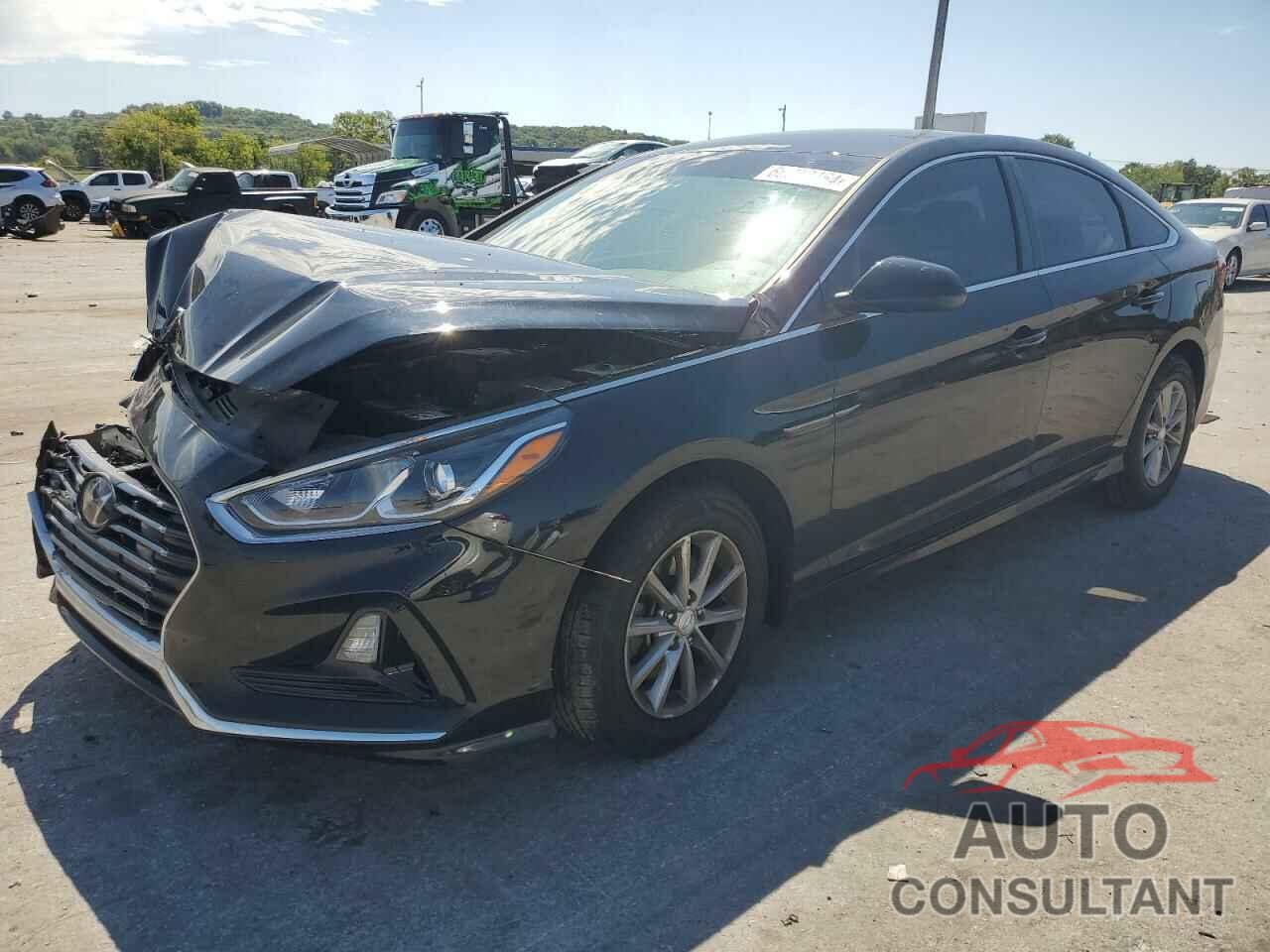 HYUNDAI SONATA 2019 - 5NPE24AF0KH799732