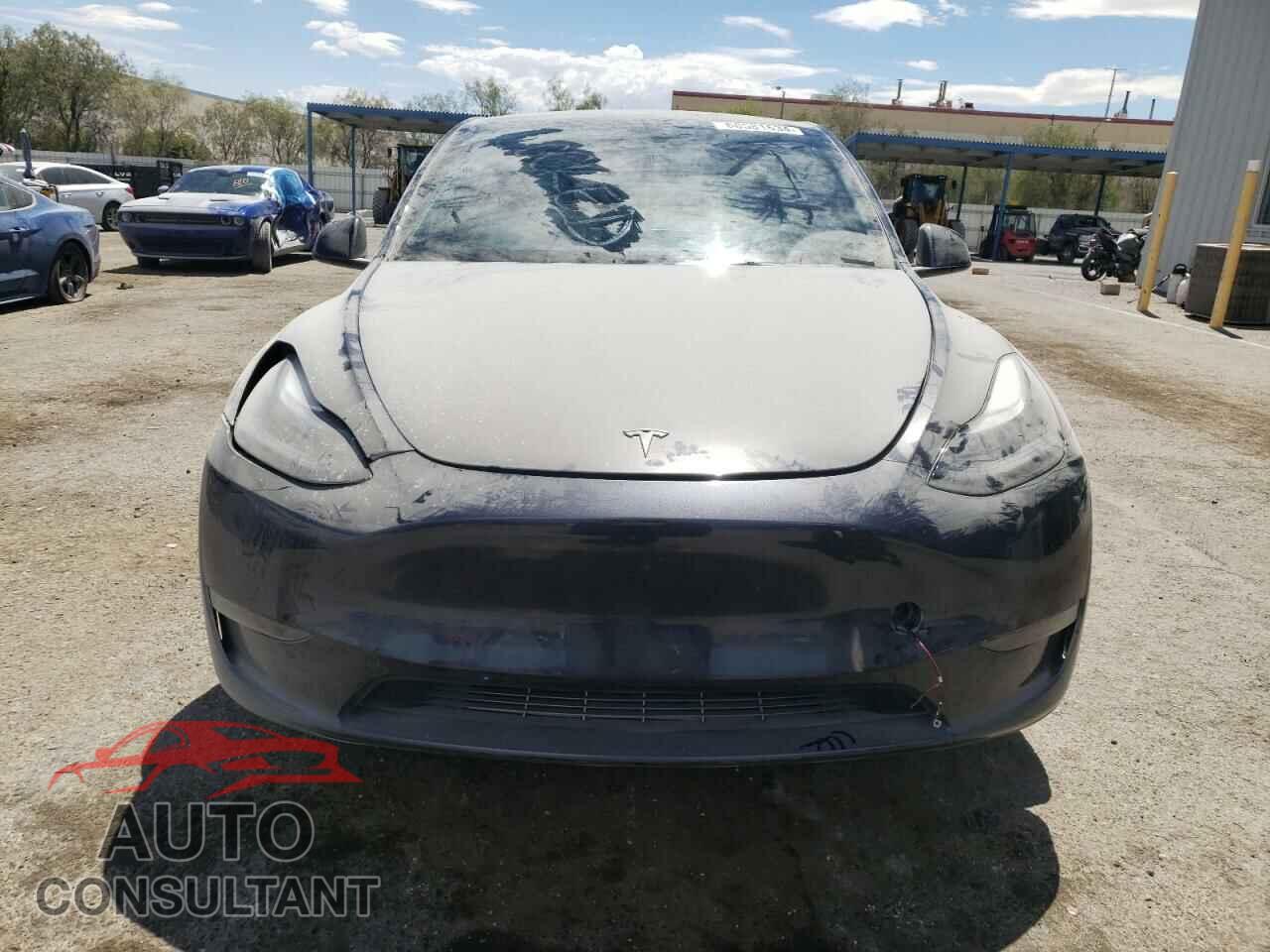 TESLA MODEL Y 2024 - 7SAYGDEF0RF022083