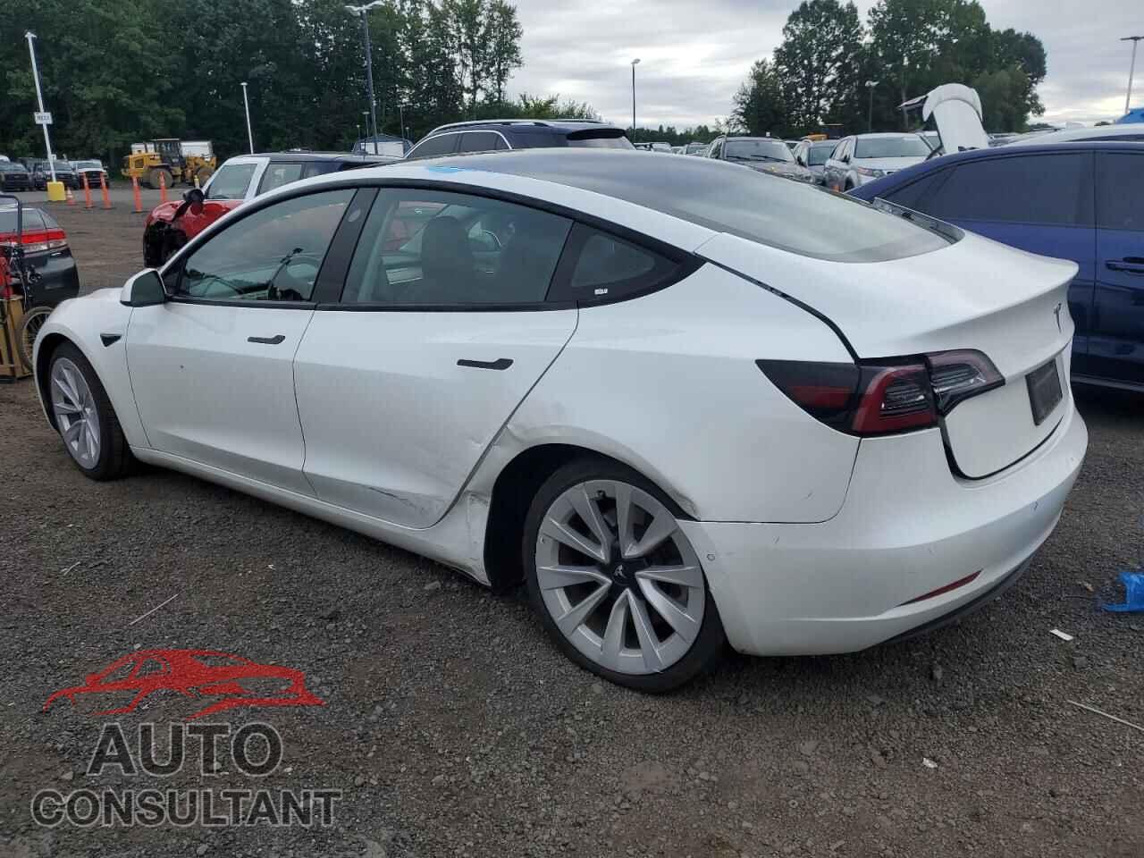 TESLA MODEL 3 2022 - 5YJ3E1EA2NF372342