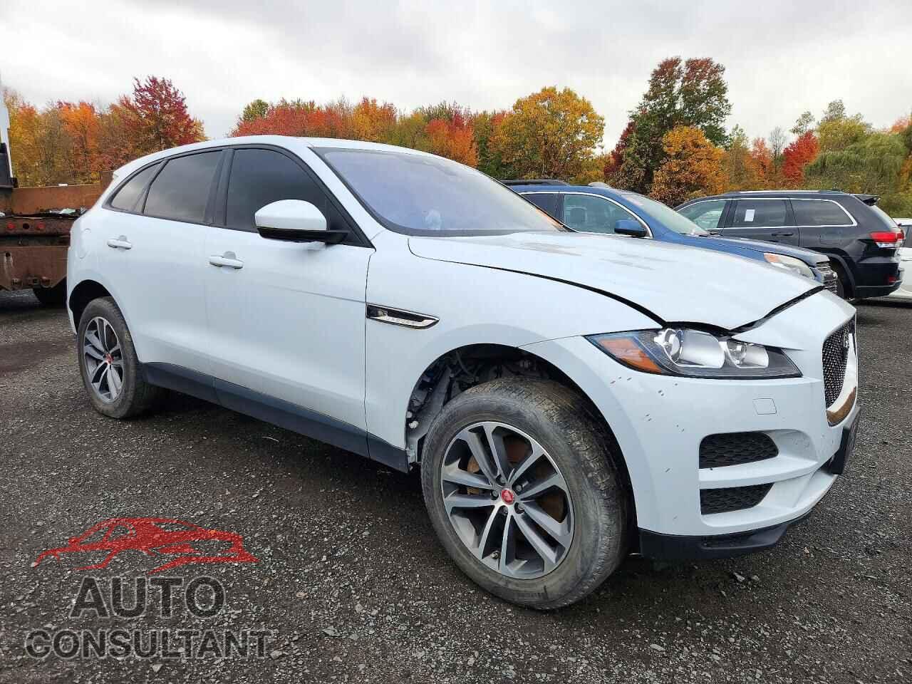 JAGUAR F-PACE 2017 - SADCJ2BV5HA063961