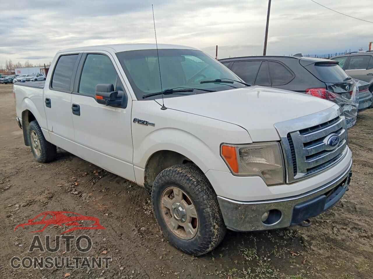 FORD F150 2011 - 1FTFW1EF2BFA08189