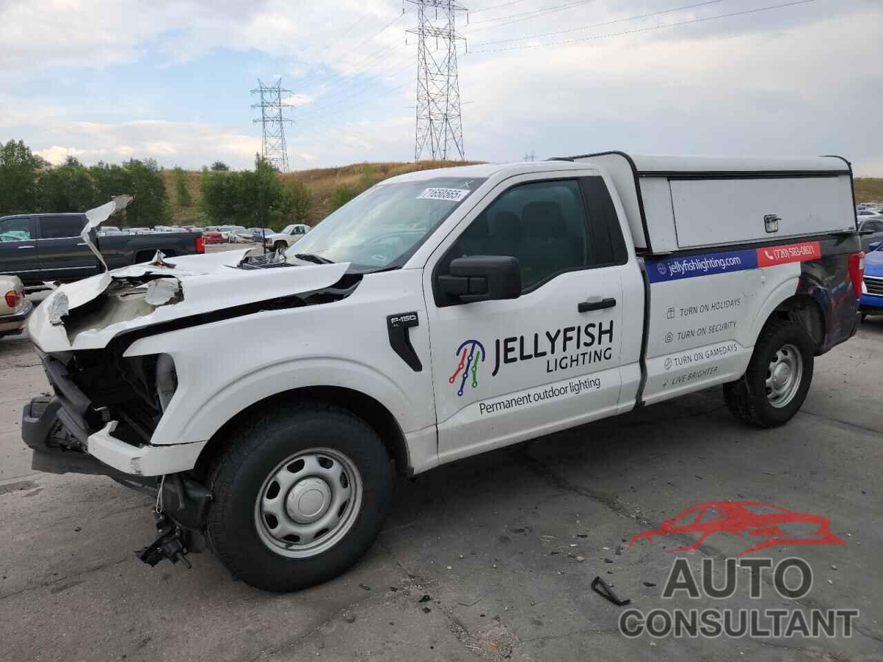 FORD All Models 2023 - 1FTMF1CB6PKD96629