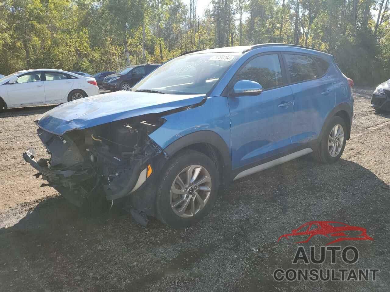 HYUNDAI TUCSON 2017 - KM8J33A45HU480048