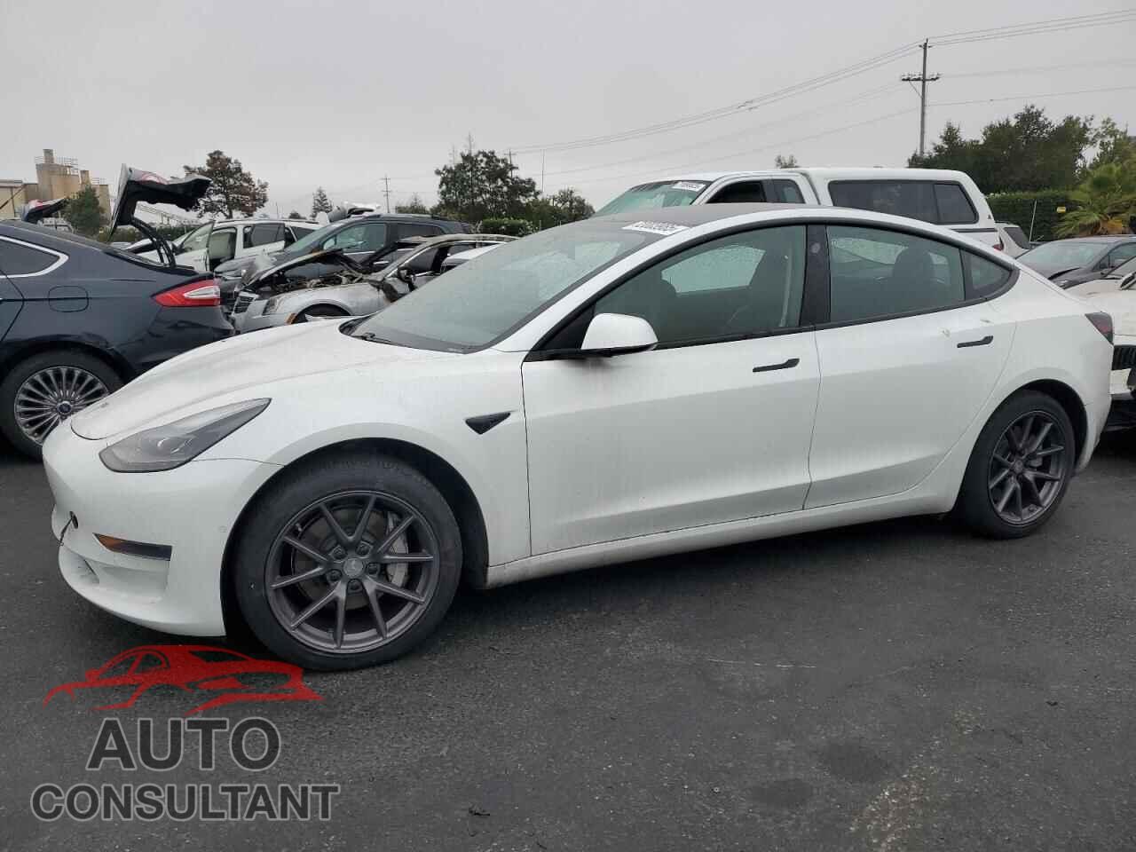 TESLA MODEL 3 2021 - 5YJ3E1EA2MF067003