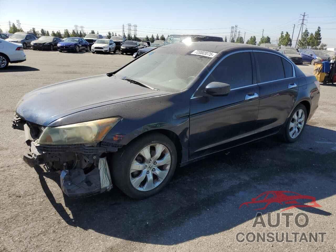 HONDA ACCORD 2010 - 5KBCP3F84AB012406