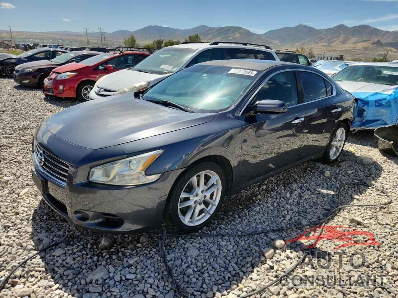 NISSAN MAXIMA 2010 - 1N4AA5AP8AC857022