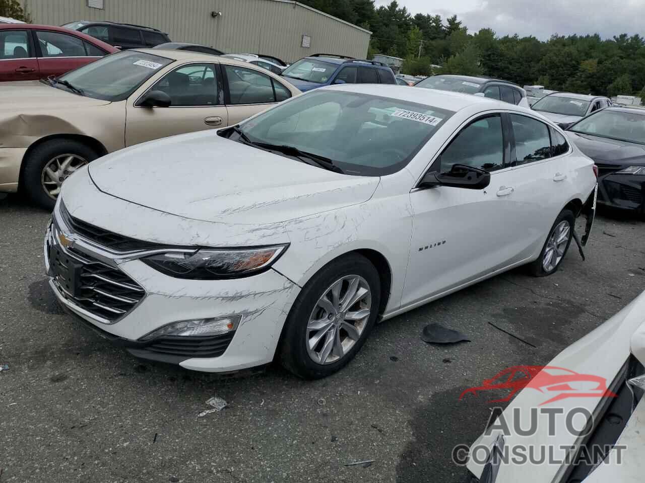CHEVROLET MALIBU 2019 - 1G1ZD5ST4KF148709