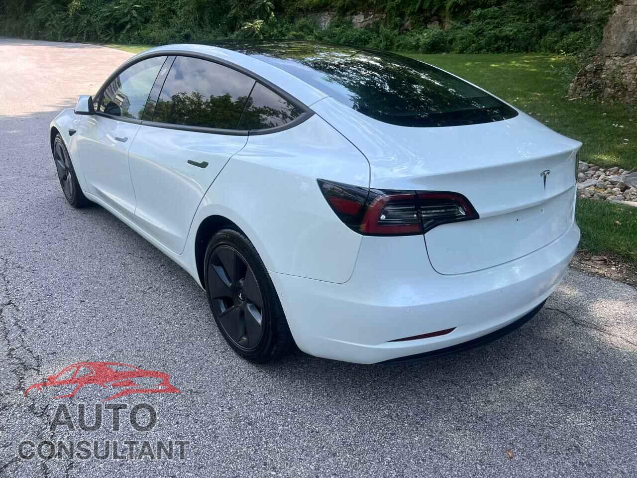 TESLA MODEL 3 2021 - 5YJ3E1EA1MF051312