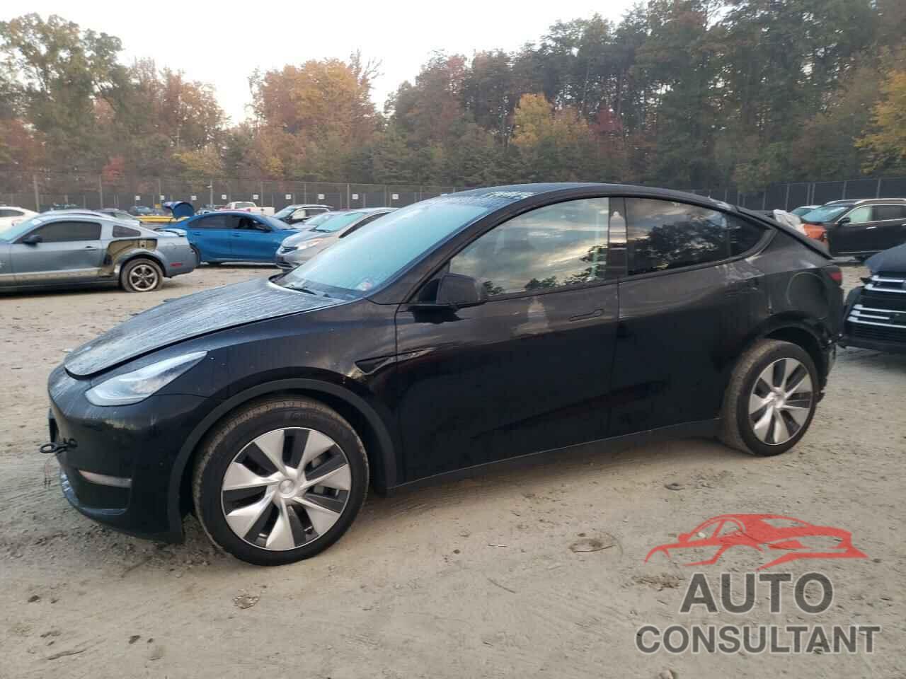 TESLA MODEL Y 2021 - 5YJYGDEE9MF208637