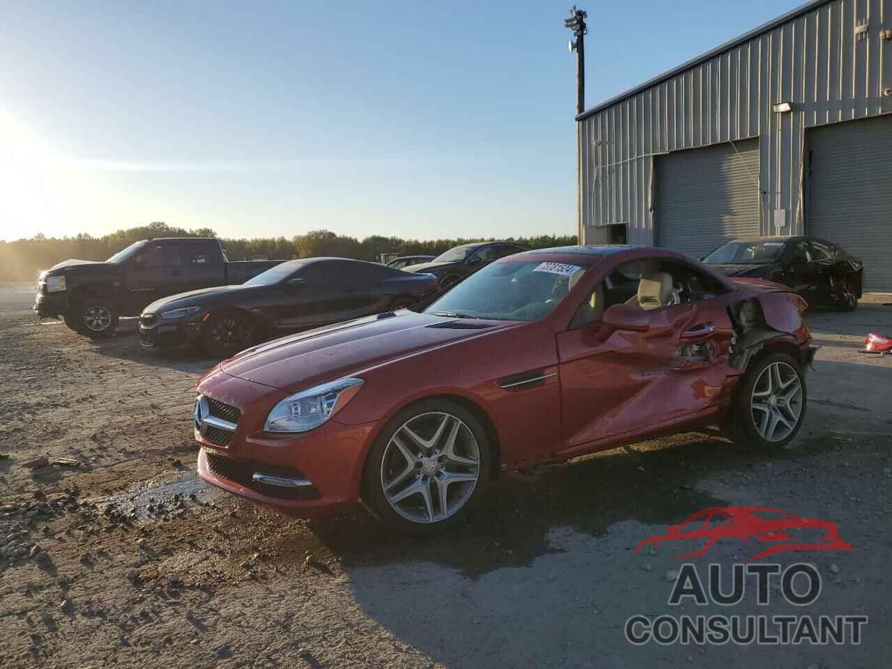 MERCEDES-BENZ SLK-CLASS 2016 - WDDPK3JA6GF119105