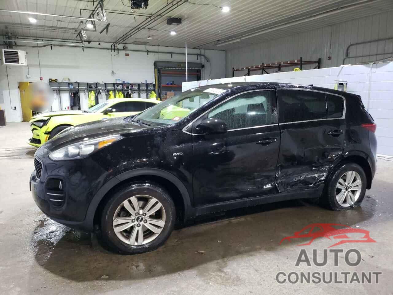 KIA SPORTAGE 2017 - KNDPMCAC6H7123334