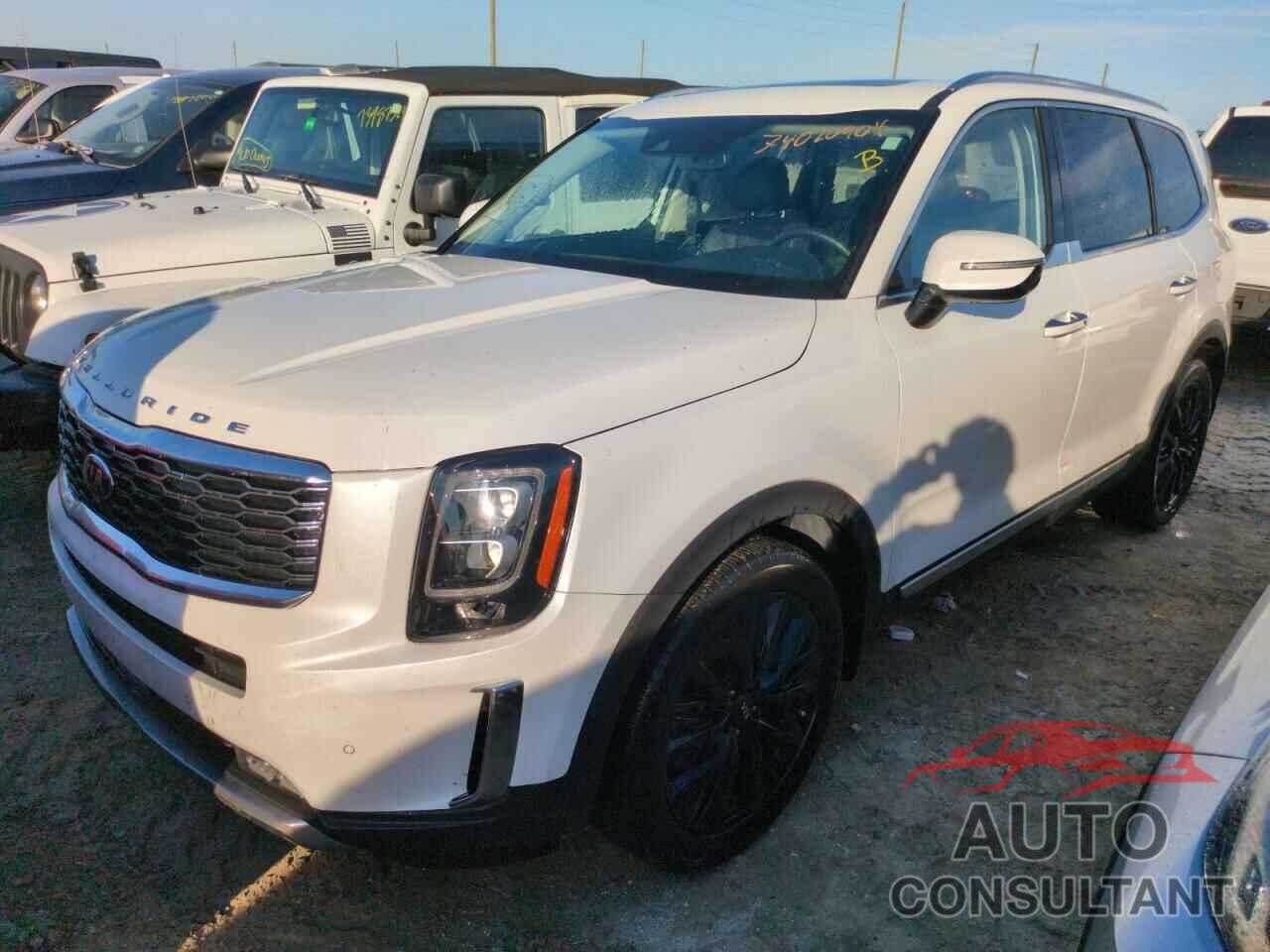 KIA TELLURIDE 2021 - 5XYP5DHC1MG107905