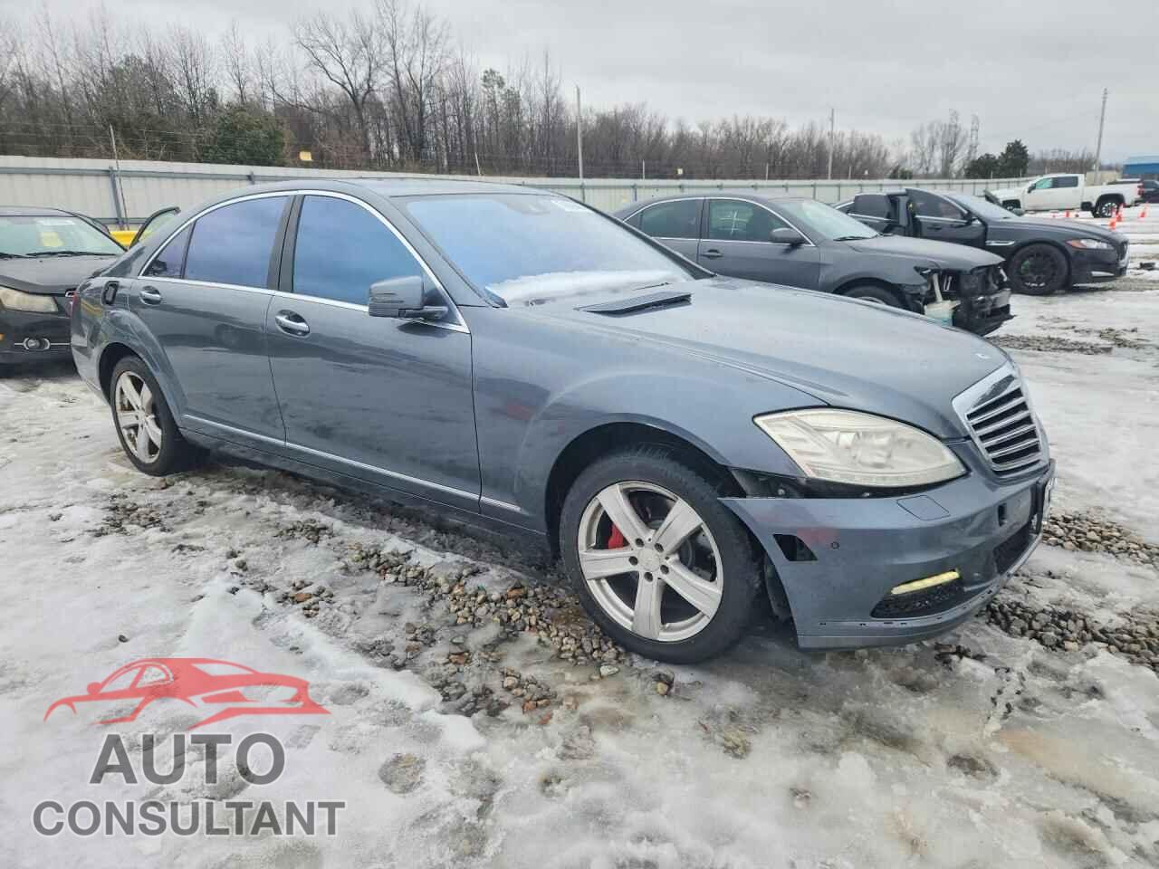 MERCEDES-BENZ S-CLASS 2010 - WDDNG7BB0AA341893