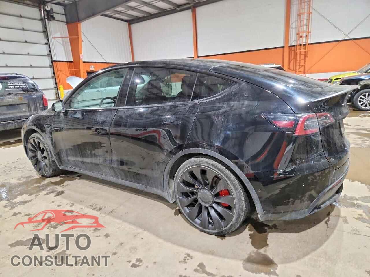 TESLA MODEL Y 2022 - 7SAYGDEF6NF542444