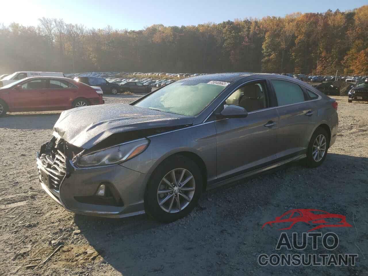 HYUNDAI SONATA 2018 - 5NPE24AF0JH711549