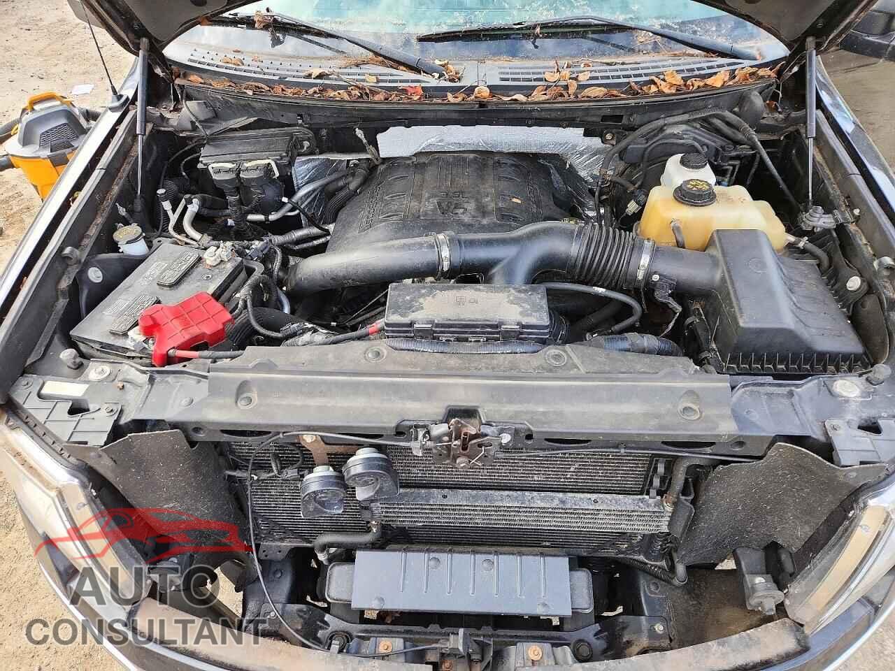 FORD F150 2011 - 1FTFX1ET8BFC56577