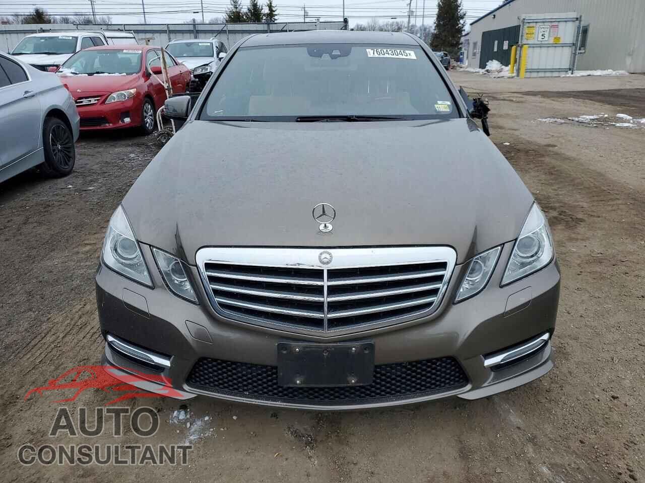 MERCEDES-BENZ E-CLASS 2013 - WDDHF9BB6DA703869