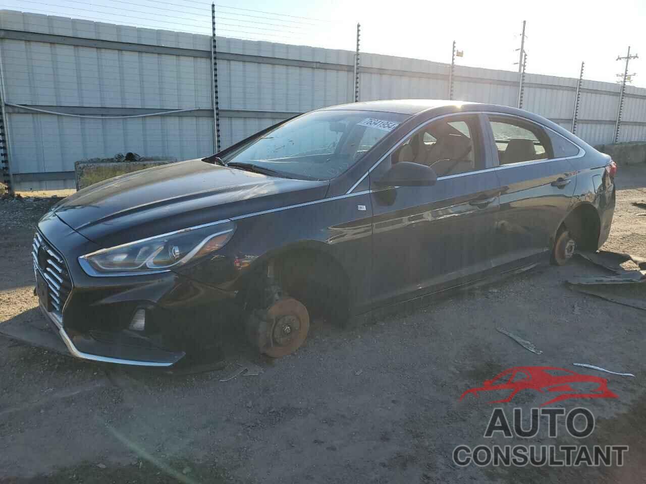 HYUNDAI SONATA 2019 - 5NPE24AF7KH762452