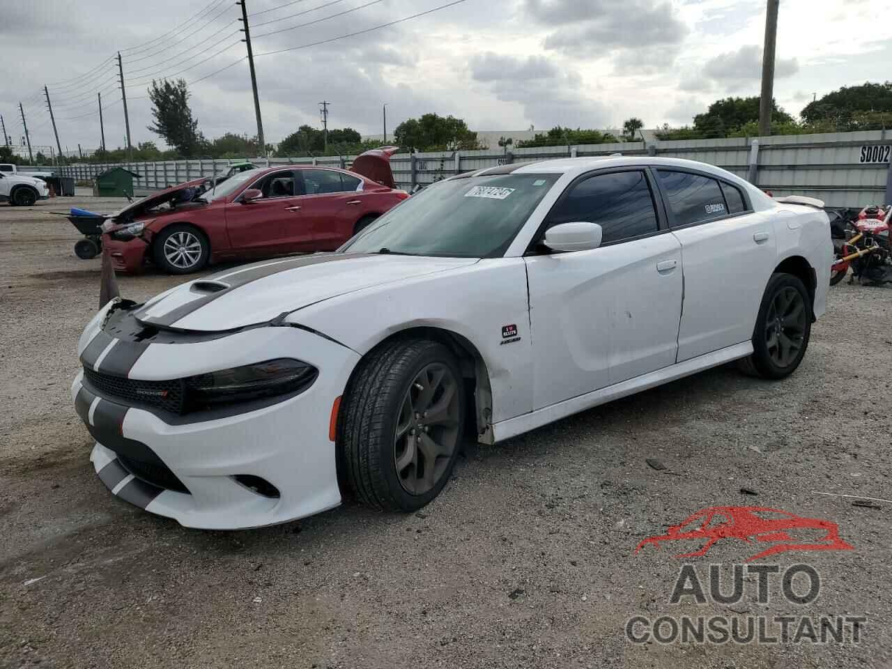 DODGE CHARGER 2019 - 2C3CDXCTXKH749343