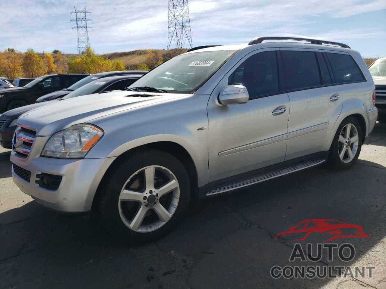MERCEDES-BENZ GL-CLASS 2009 - 4JGBF25E59A511665