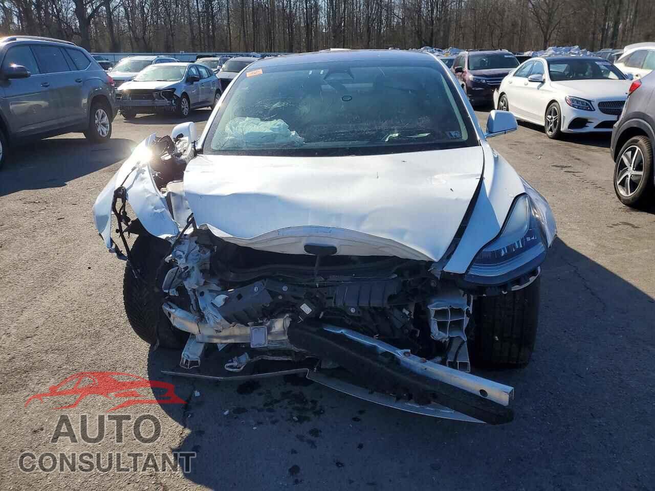 TESLA MODEL 3 2019 - 5YJ3E1EB5KF199663