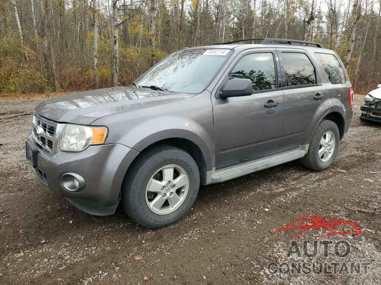 FORD ESCAPE 2009 - 1FMCU03759KB91163