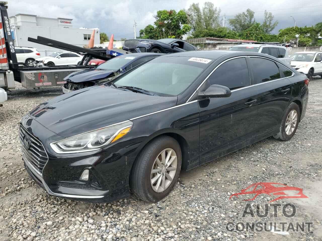 HYUNDAI SONATA 2019 - 5NPE24AF1KH776007