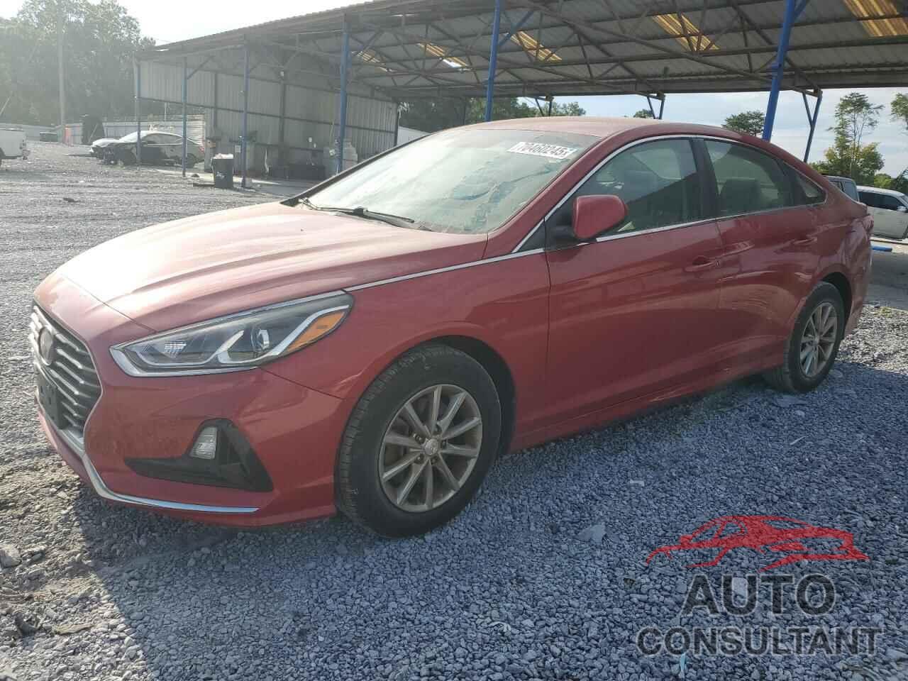 HYUNDAI SONATA 2019 - 5NPE24AFXKH790472