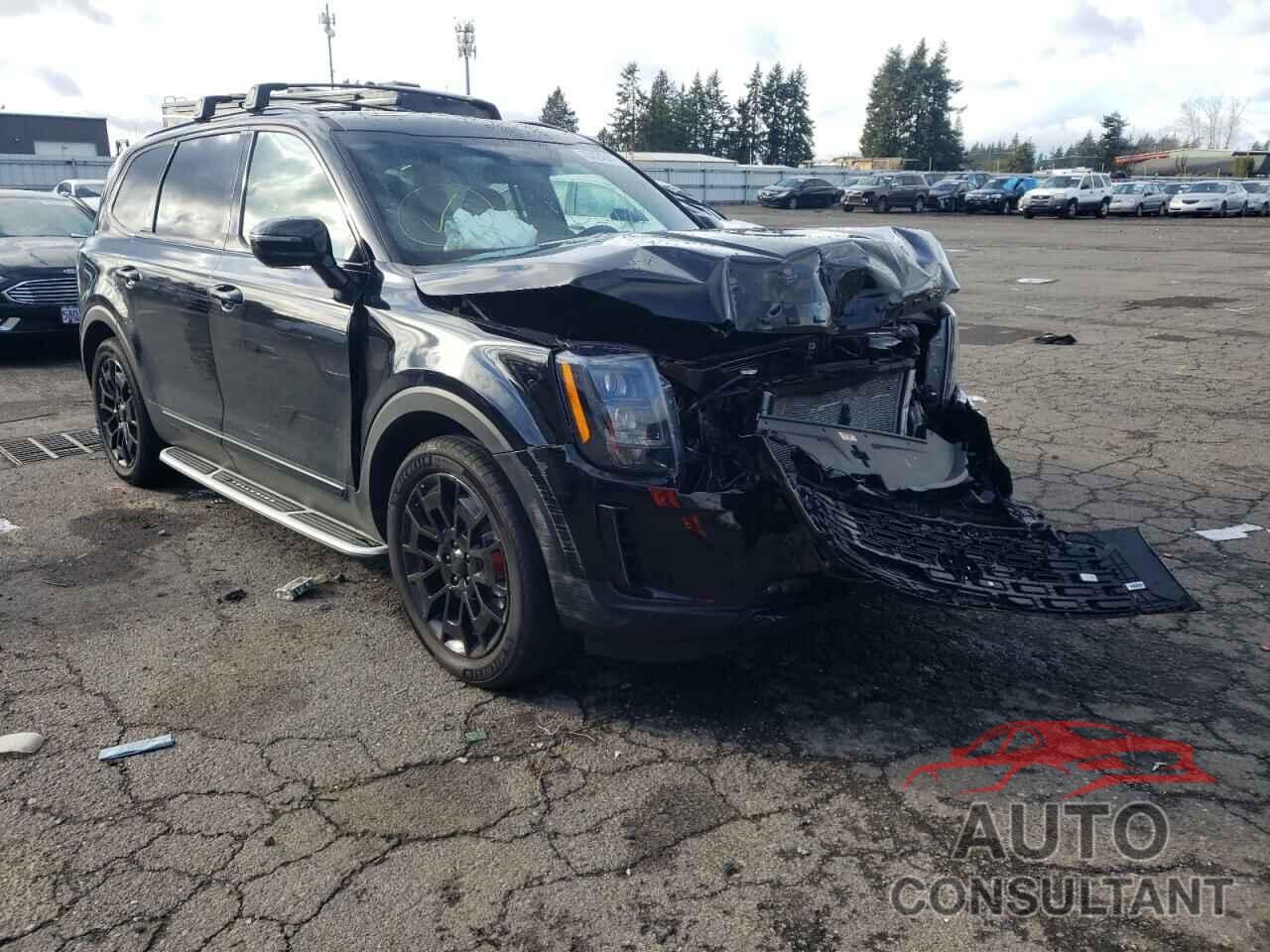 KIA TELLURIDE 2021 - 5XYP5DHCXMG159288