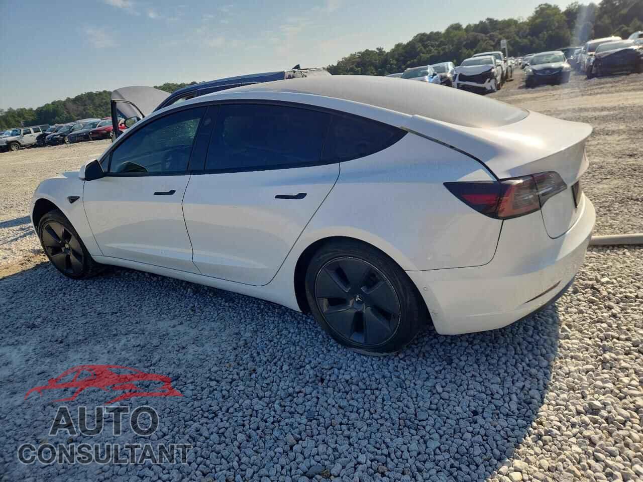 TESLA MODEL 3 2021 - 5YJ3E1EA4MF043043