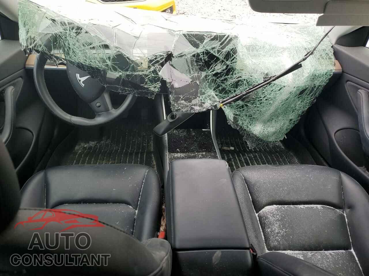 TESLA MODEL 3 2019 - 5YJ3E1EB5KF205736