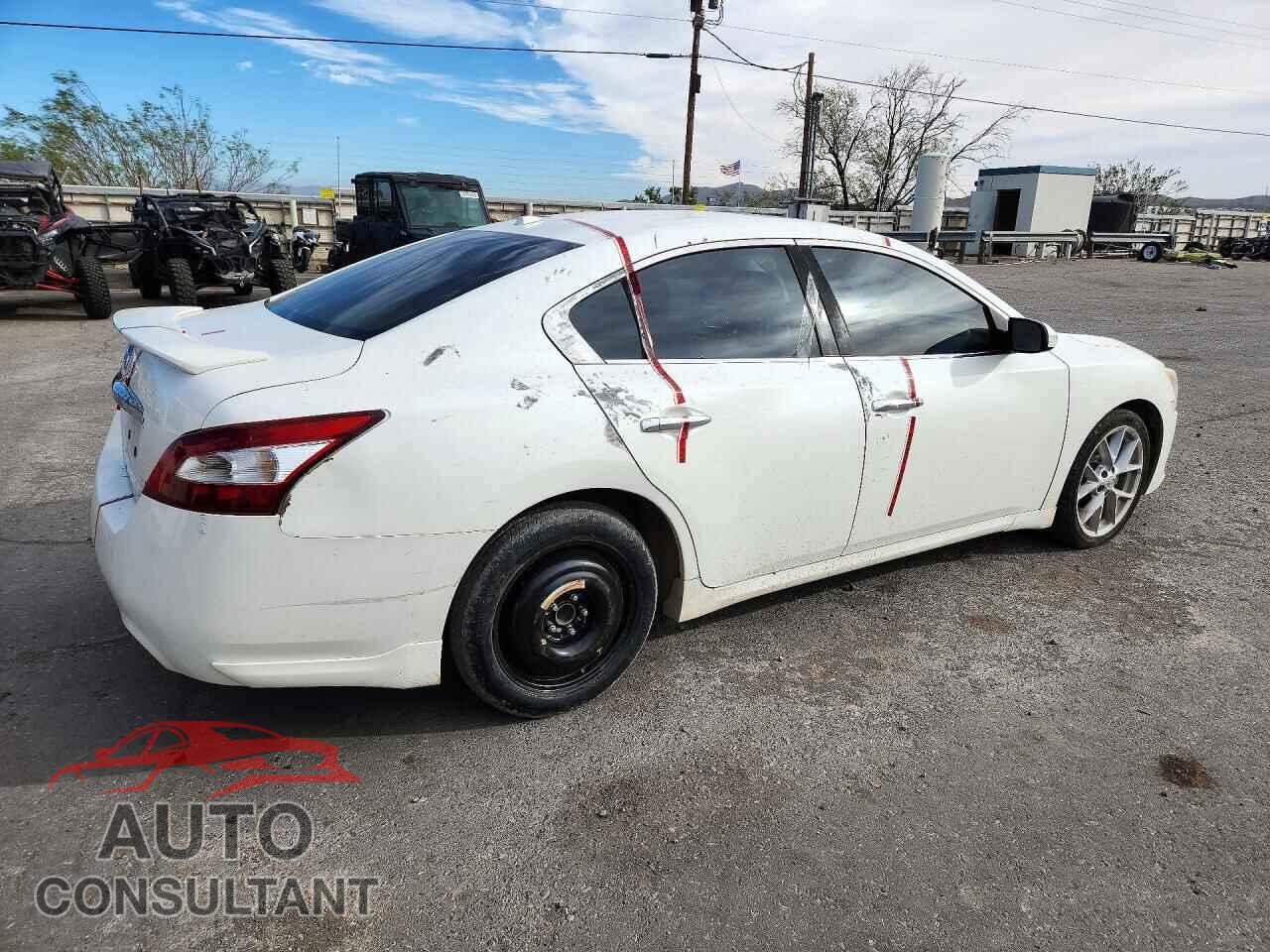 NISSAN MAXIMA 2009 - 1N4AA51E29C845376